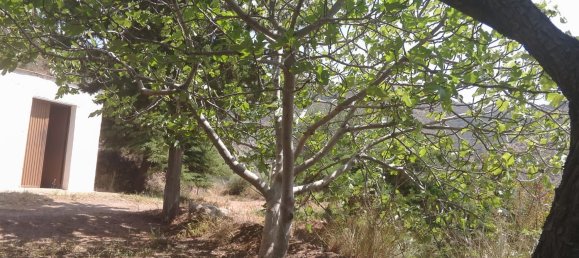 Grundstück in Almeria, Spain, Nr. 160755 19