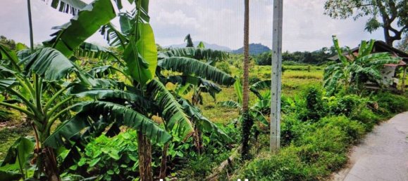  Commercial property in Ko Samui, Thailand No. 23502 3