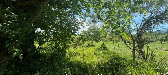  Commercial property in Ko Samui, Thailand No. 23502 5