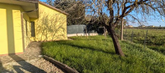 9 chambres Maison à Castiglione del Lago, Italy No. 50512 5