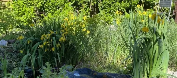 4 bedrooms Townhouse in Lower Saxony, Germany No. 76513 9