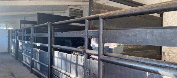 Вилла с 10 комнатами в Клавезана, Италия № 87546 22