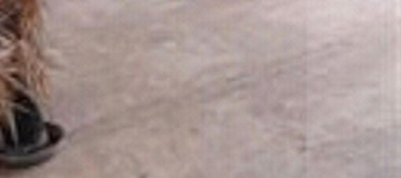 4غرفة شقة في Robecchetto con Induno, Italy رقم 183646 10