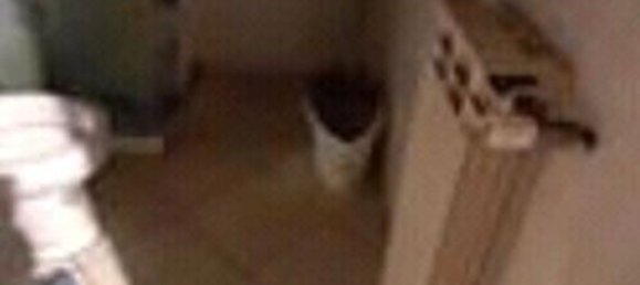 4غرفة شقة في Robecchetto con Induno, Italy رقم 183646 5