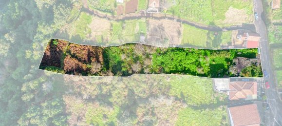 Дом с 5 спальнями в Сантана, Португалия № 26096 5