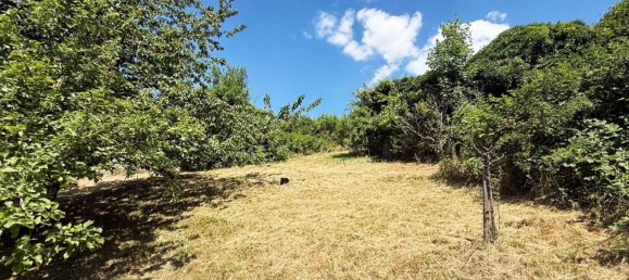 Terrain à Graz, Austria No. 131841 4