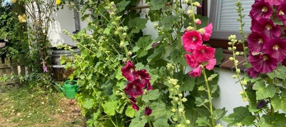 4-Zimmer Haus in Cloppenburg, Germany, Nr. 162607 2