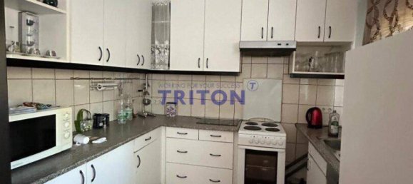 3 rooms Bungalow in Neufeld an der Leitha, Austria No. 159154 31