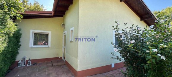 3 rooms Bungalow in Neufeld an der Leitha, Austria No. 159154 4