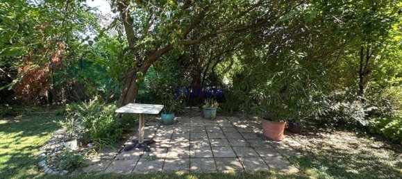 3 rooms Bungalow in Neufeld an der Leitha, Austria No. 159154 12