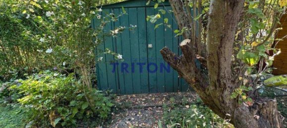 3 rooms Bungalow in Neufeld an der Leitha, Austria No. 159154 15