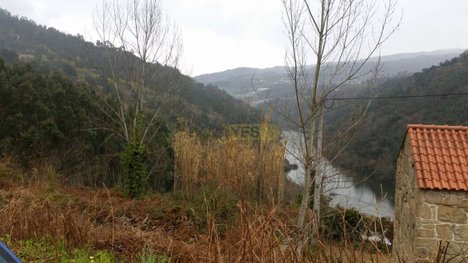 1960m² Land in Marco de Canaveses, Portugal No. 59371