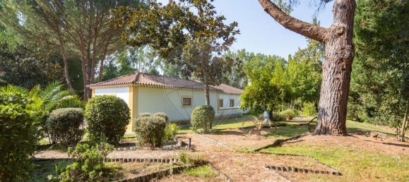 4 Schlafzimmer Haus in Benavente, Portugal, Nr. 332758 11
