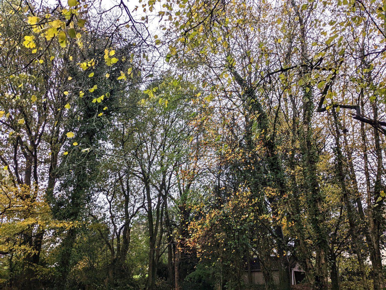 Terreno em Poullaouen, France 1030 m² N.º 100536