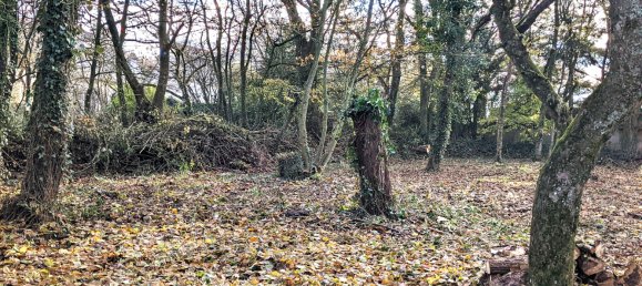 Terreno em Poullaouen, France 1030 m² N.º 100536 8