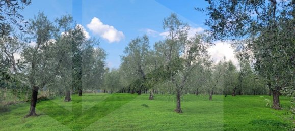 4 rooms House in Vieste, Italy No. 21025 11