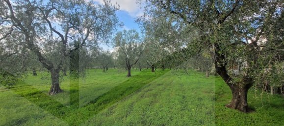 4 rooms House in Vieste, Italy No. 21025 17