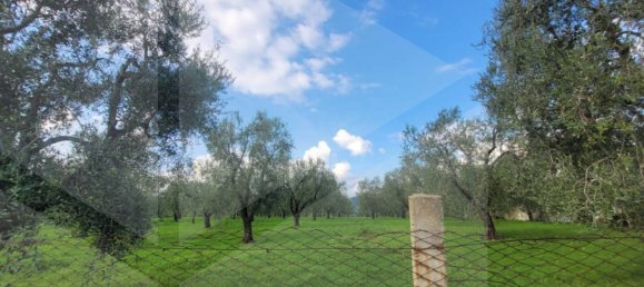 4 rooms House in Vieste, Italy No. 21025 16