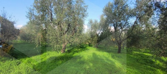 4 rooms House in Vieste, Italy No. 21025 12