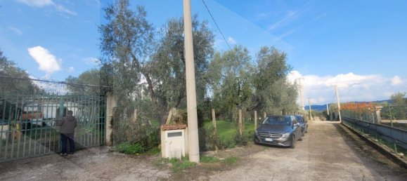 4 rooms House in Vieste, Italy No. 21025 8