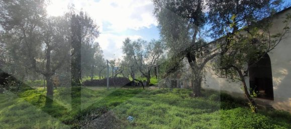 4 rooms House in Vieste, Italy No. 21025 5