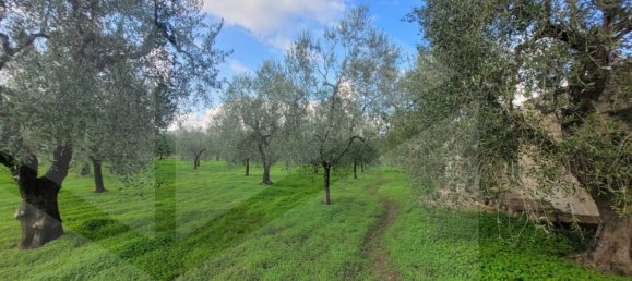 4 rooms House in Vieste, Italy No. 21025 10