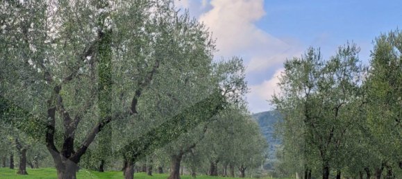 4 rooms House in Vieste, Italy No. 21025 14