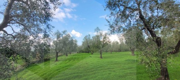 4 rooms House in Vieste, Italy No. 21025 9