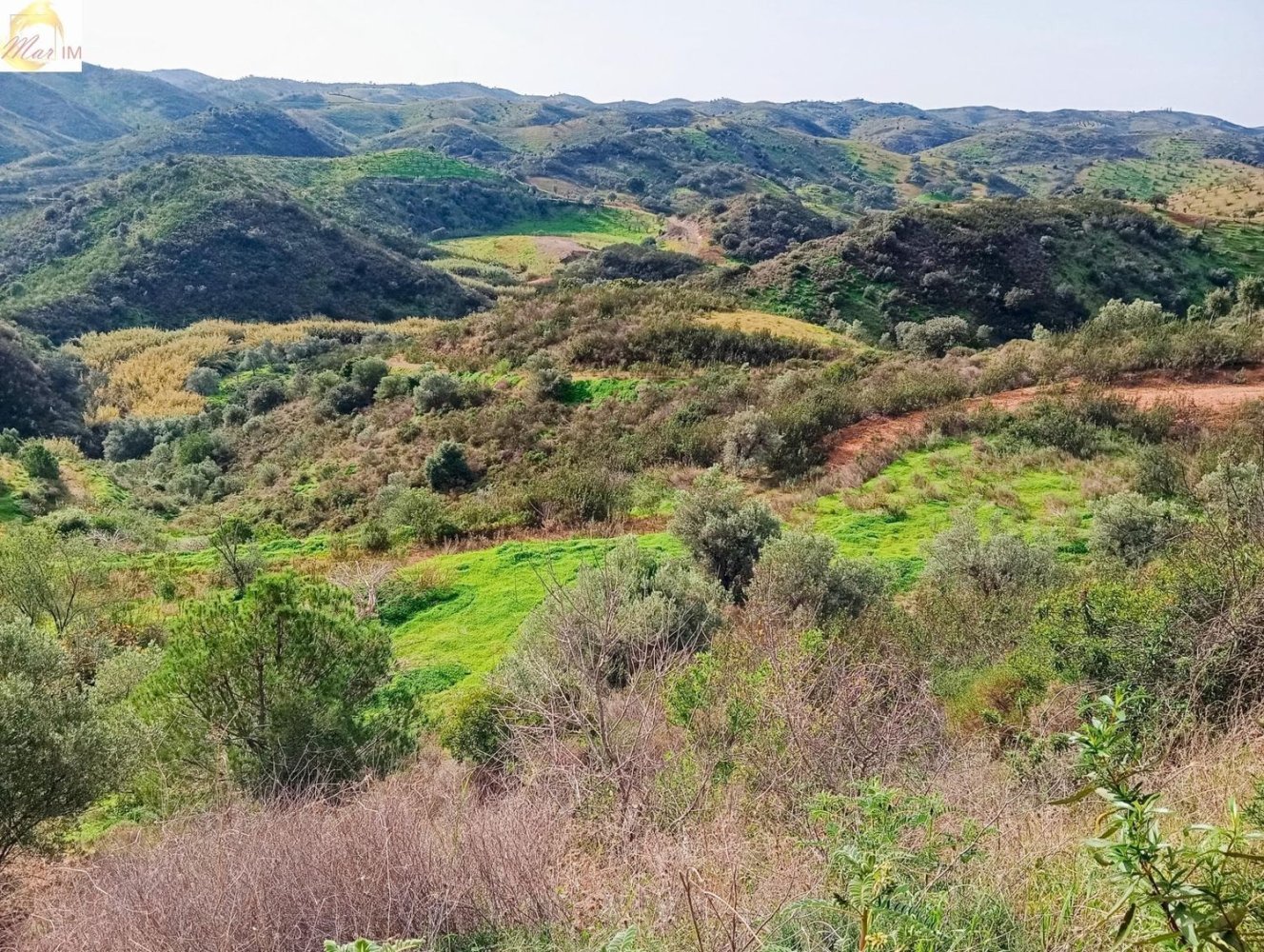  Land in Azinhal, Portugal No. 227041