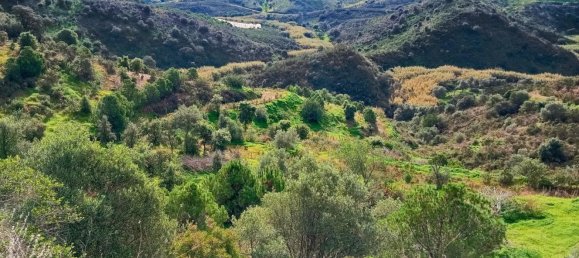  Land in Azinhal, Portugal No. 227041 3