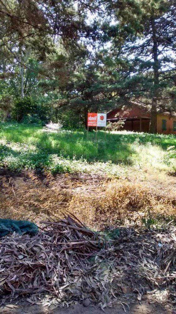  Land in Mar del Plata, Argentina No. 112500