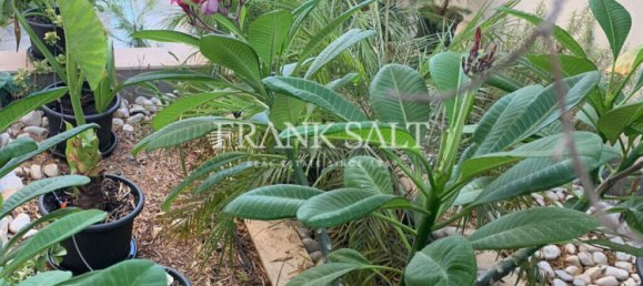 Villa T3 em Swieqi, Malta N.º 10101 11