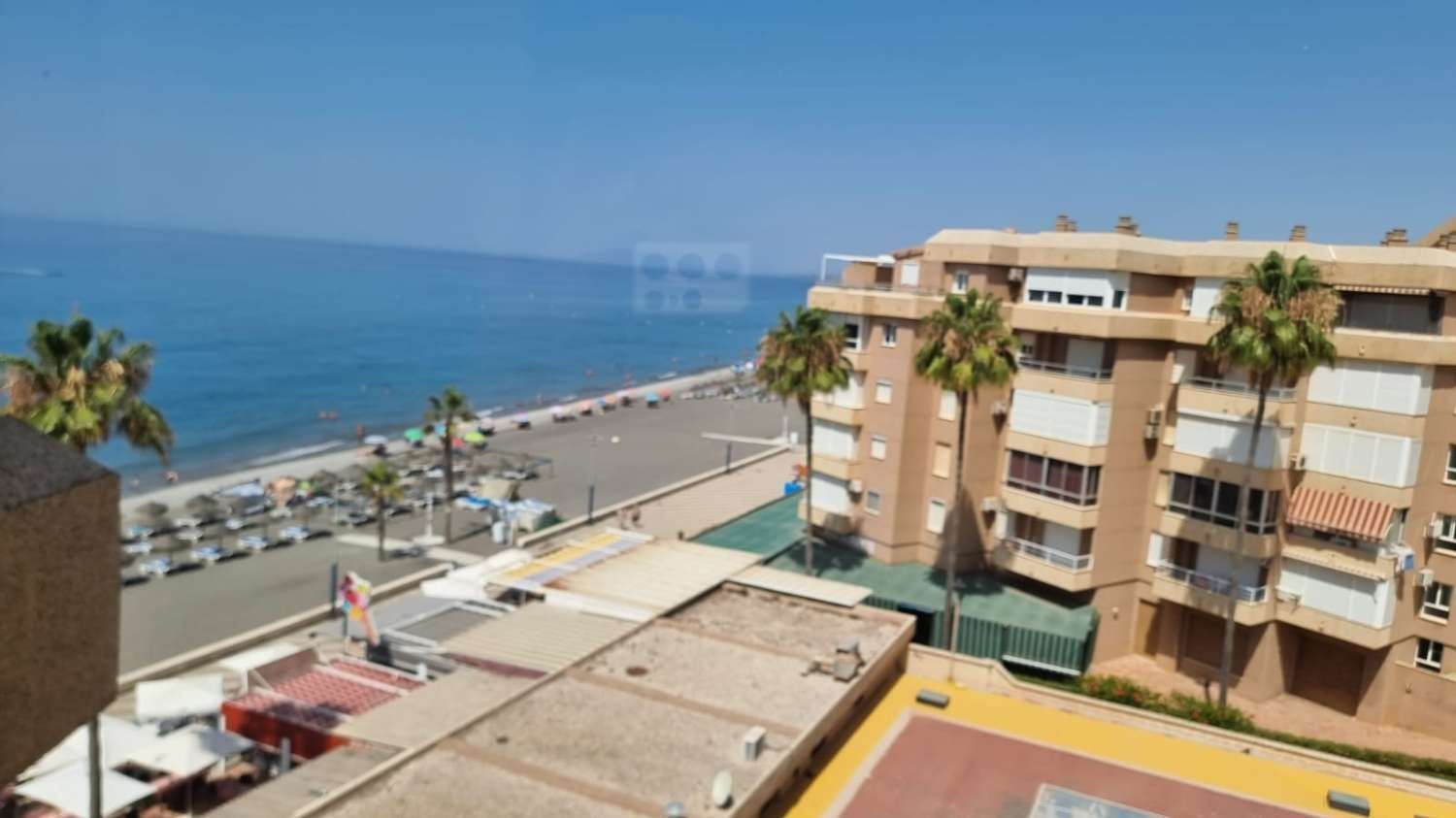 1 chambre Appartement à Murcia, Spain No. 155187