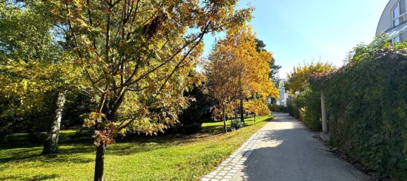 4غرفة عقار تجاري في Hernals, Austria رقم 59168 26