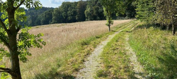 Grundstück in Dingolfing-Landau, Germany, Nr. 320978 3