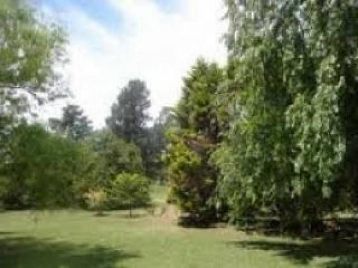  Land in Pilar, Argentina No. 43023