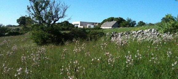 Gebäude in Gioia del Colle, Italy 247160m², Nr. 354957 8