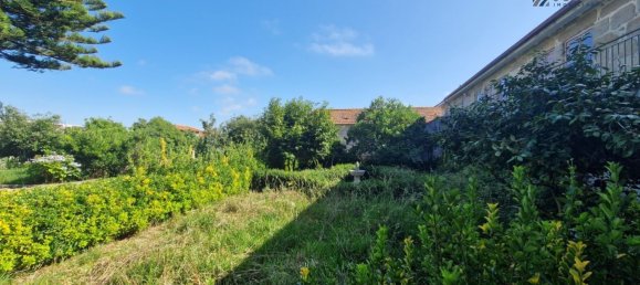 6 bedrooms House in Matosinhos, Portugal No. 134878 29