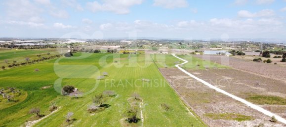 250m² Land in Noto, Italy No. 318986 9
