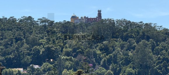 2 Schlafzimmer Haus in Sintra, Portugal, Nr. 254165 33