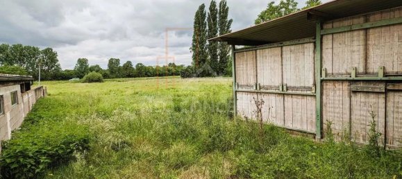 6-salle Maison à Oberhoffen-sur-Moder, France No. 64476 14