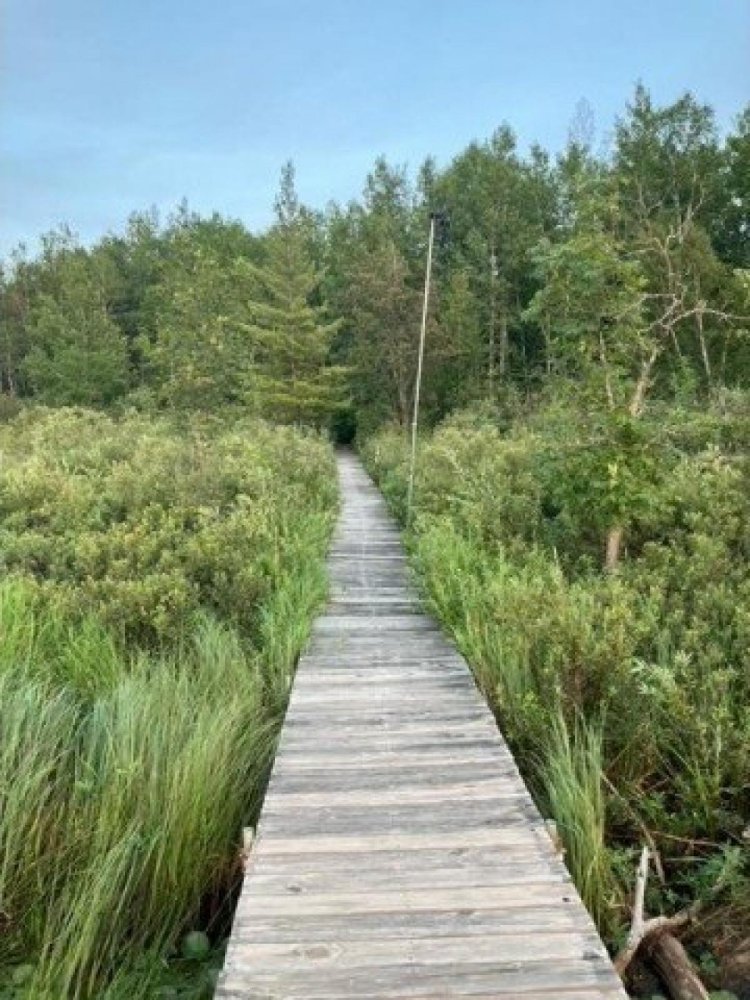  Land in Hoyt Lakes, USA No. 482927