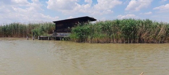 Studio in Rust, Austria No. 156774 3