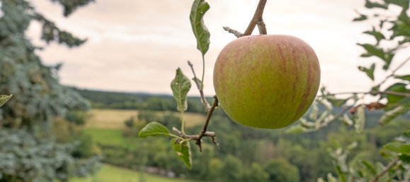 Casa T4 em Mayen-Koblenz, Germany N.º 300321 5