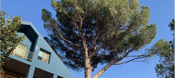 5 Schlafzimmer Villa in Alzira, Spain, Nr. 190921 16