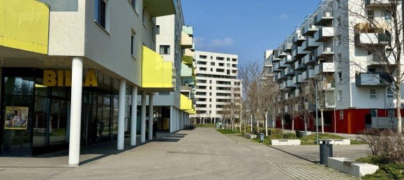 Gewerbliche Immobilie in Wien, Austria 185m², Nr. 140235 12