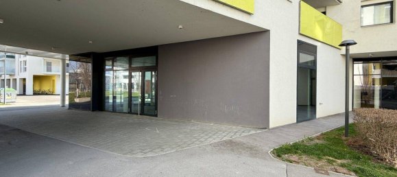 Gewerbliche Immobilie in Wien, Austria 185m², Nr. 140235 8