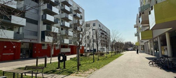 Gewerbliche Immobilie in Wien, Austria 185m², Nr. 140235 11