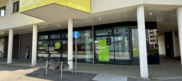 Gewerbliche Immobilie in Wien, Austria 185m², Nr. 140235 5