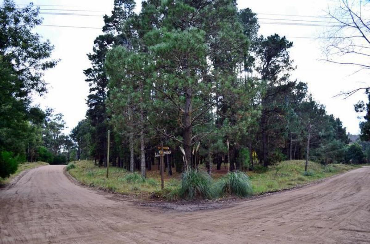  Land in Mar del Plata, Argentina No. 121483